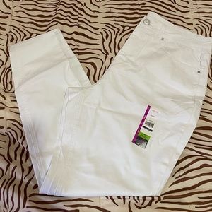 Women pant